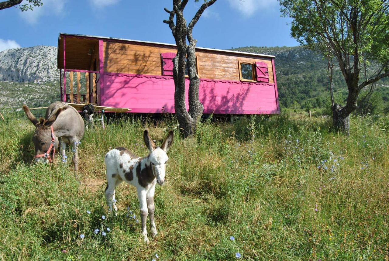Ferme Saint Pierre Hotel Bargème Екстериор снимка