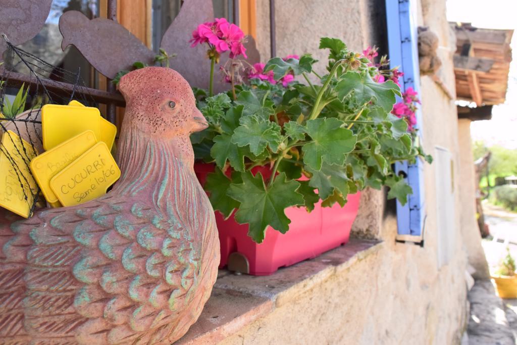 Ferme Saint Pierre Hotel Bargème Екстериор снимка